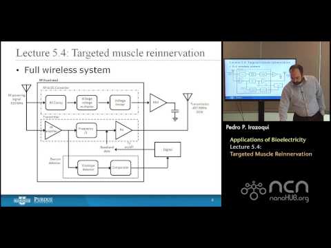 nanoHUB-U Bioelectricity L5.4: Applications of Bioelectricity – Targeted Muscle Reinnervation