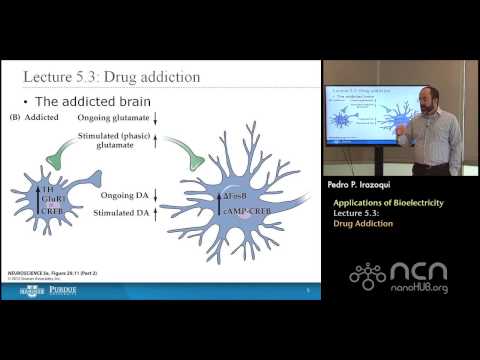 nanoHUB-U Bioelectricity L5.3: Applications of Bioelectricity – Drug Addiction