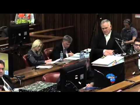 Pistorius Trial: Oscar Pistorius to continue testimony