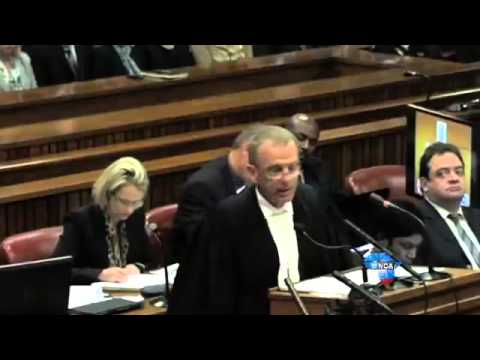 Pistorius Trial: „You killed Reeva Steenkamp, that’s what you did“