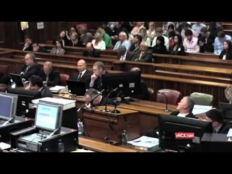 Pistorius Trial: Pistorius insists that noise from his bathroom caused him to shoot