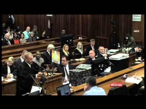 Pistorius Trial: Oscar did try meet Reeva’s family before the trial