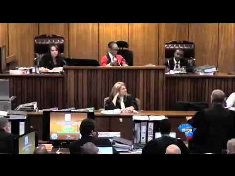 Oscar Pistorius Trial: Nel accuses Pistorius of changing defence