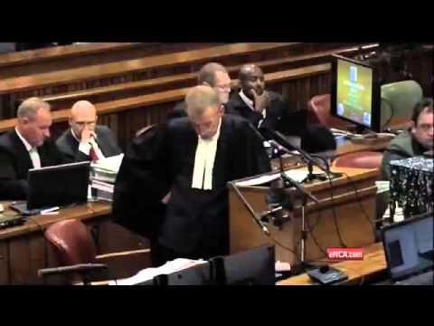 Pistorius Trial: Oscar describes actions after breaking down door