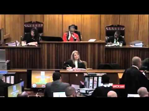Pistorius Trial: Pistorius describes moment he discovered Reeva Steenkamp in the bathroom