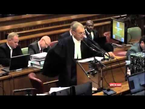 Pistorius Trial: Nel accuses Pistorius of providing unlikely version of events