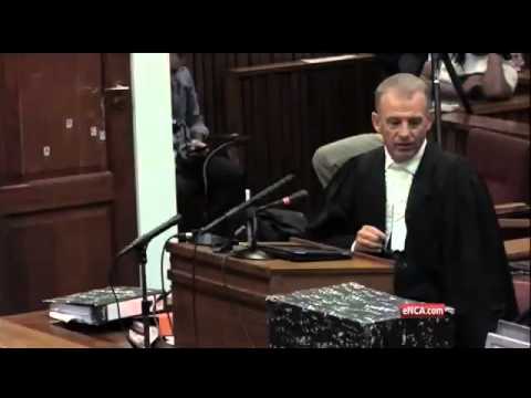Oscar Pistorius Trial: Nel asks for postponement