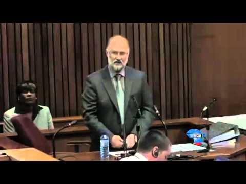 Pistorius Trial: Dixon testifies about the speed of the bullet