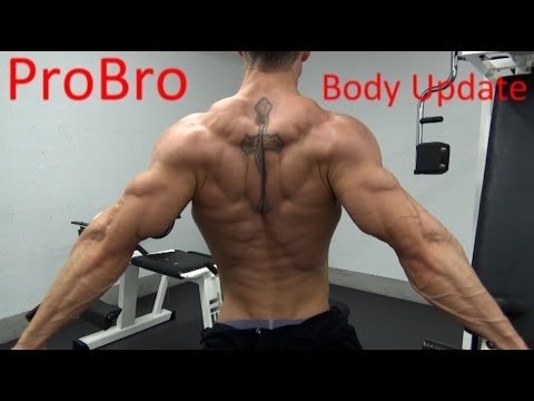 ProBro Body Update