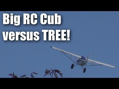 Big RC Piper Cub versus tree