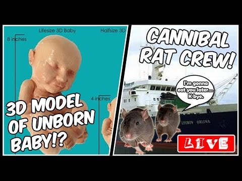UNBORN BABY 3D MODEL?! | CANNIBAL RAT CREW! – The Stories of Weird Podcast LIVE (#17)