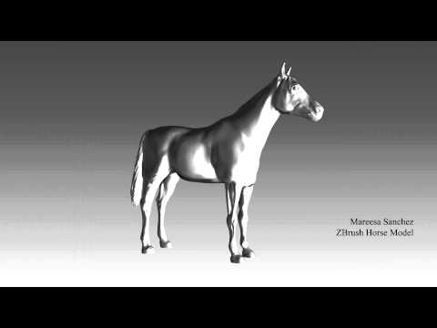 ZBrush 3D Horse Model