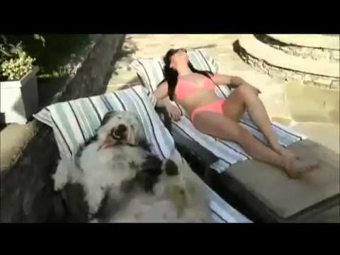 One To Remember: Summer with My Dog PETCO TV Commercial