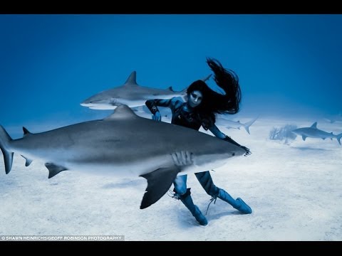 Human Mermaid Who Dances With Sharks To Protest Culling