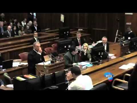 Oscar Pistorius Trial: Roux and Nel argue over screams