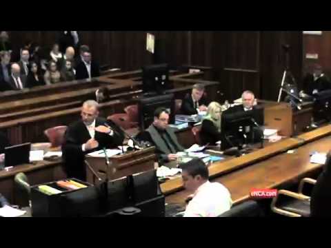 Oscar Pistorius Trial: Nel deals with screams