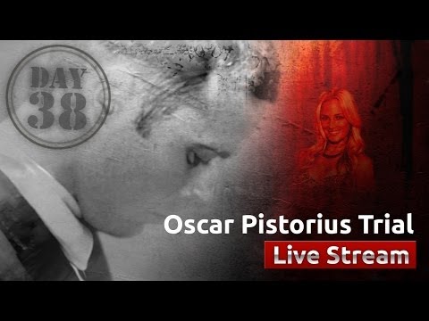 Oscar Pistorius Trial [Day 38]