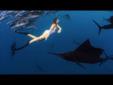 Roberta Mancino Bikini Dives With, And Dodges, The World’s Fastest Fish | Robertalicious, Ep. 5
