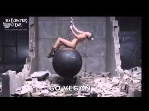 Miley Cyrus Wrecking Ball Subliminal Messages Unveiled! Copy