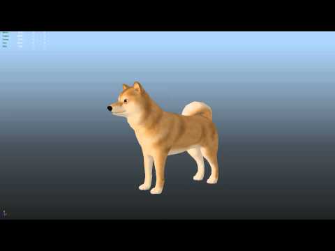 Doge 3D Model – Idle animation